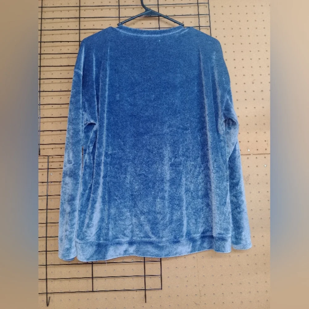 Blue Velour Sweatshirt - Picture 4 of 4